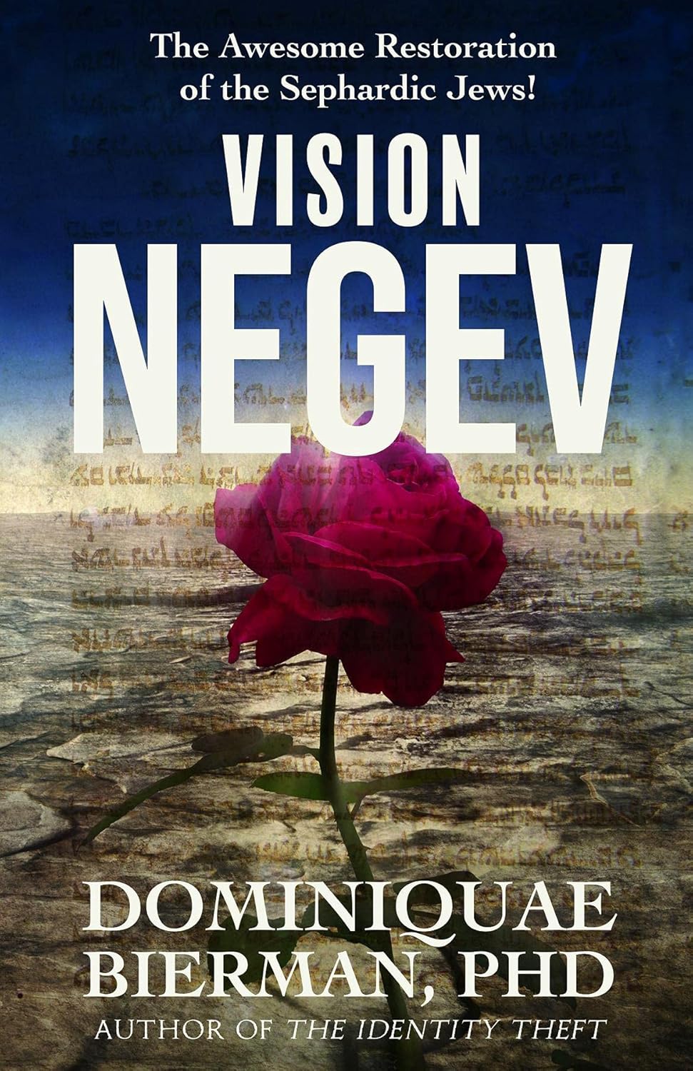 Vision Negev