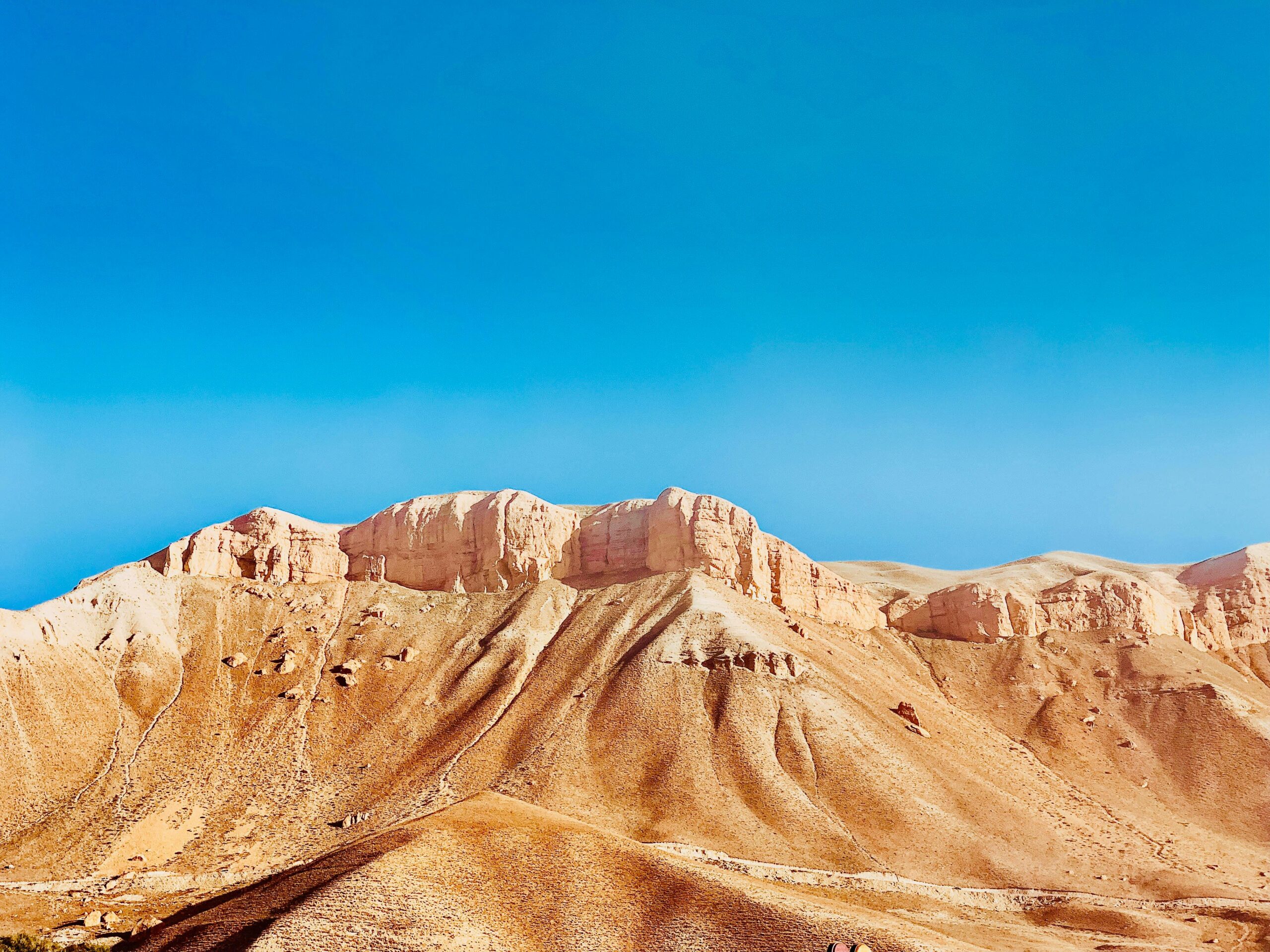 Negev Desert